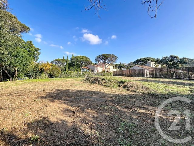 Terrain &agrave; vendre - 705 m2 - Roquebrune Sur Argens - 83 - PROVENCE-ALPES-COTE-D-AZUR
