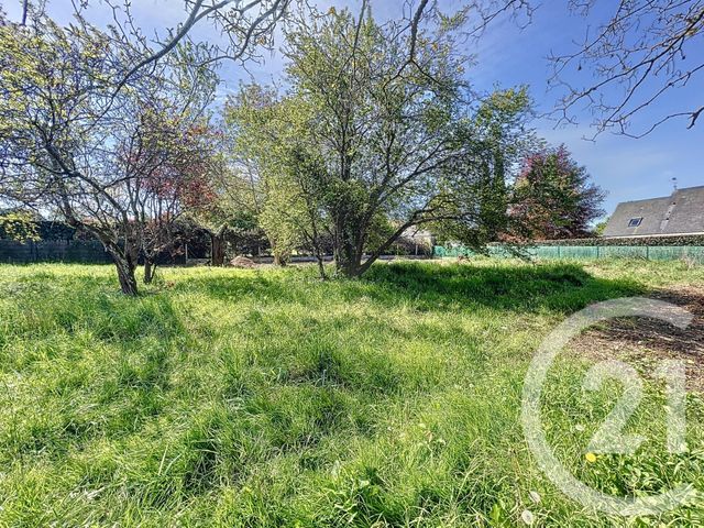 Maison à vendre - 5 pièces - 132,98 m2 - St Cyr Sur Loire - 37 - CENTRE