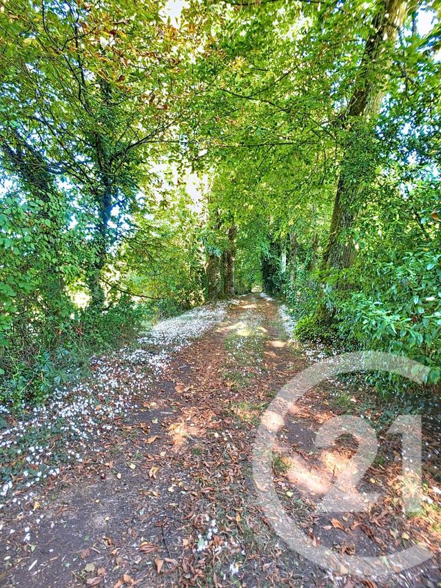 Maison &agrave; vendre - 14 pi&egrave;ces - 667,57 m2 - Tours - 37 - CENTRE