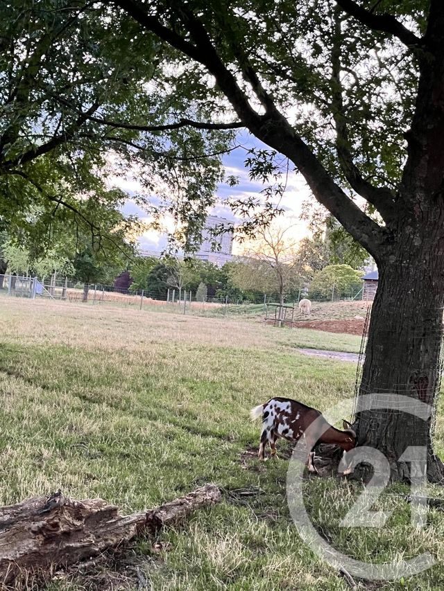 Appartement F5 &agrave; vendre - 5 pi&egrave;ces - 119,42 m2 - Tours - 37 - CENTRE