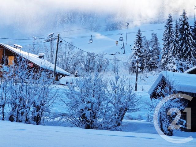 Appartement F2 bis &agrave; vendre - 2 pi&egrave;ces - 26,21 m2 - Chatel - 74 - RHONE-ALPES