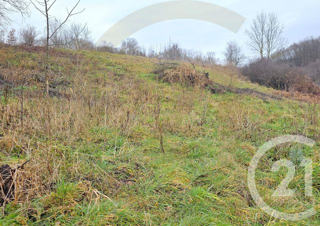 Terrain &agrave; vendre - 1155 m2 - Meyrieu Les Etangs - 38 - RHONE-ALPES