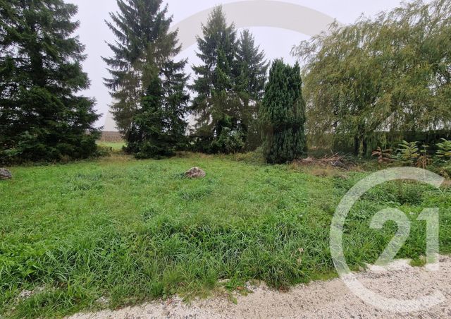 terrain - CHATONNAY - 38