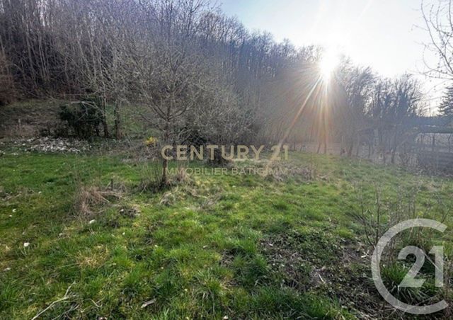 terrain - CHATONNAY - 38