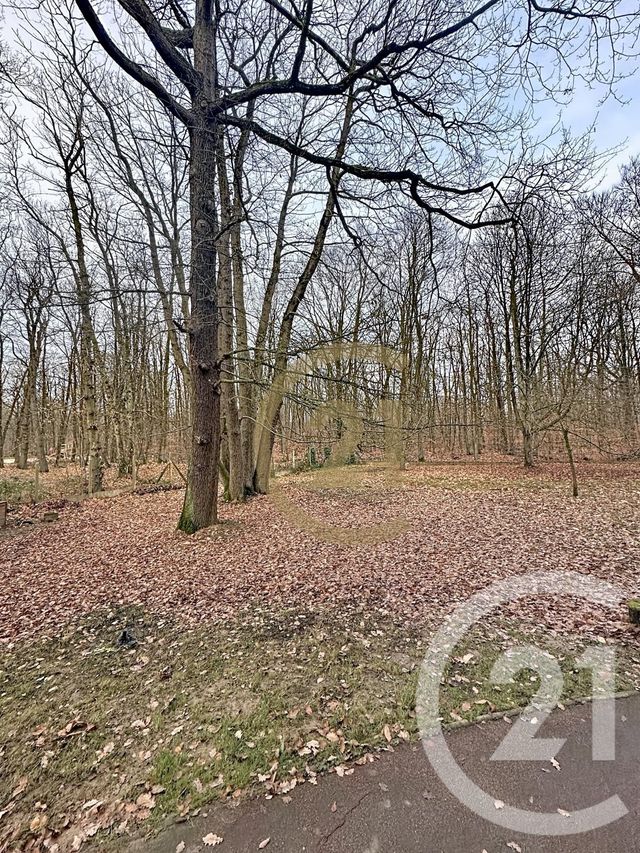 Appartement F5 &agrave; louer - 5 pi&egrave;ces - 102 m2 - Versailles - 78 - ILE-DE-FRANCE