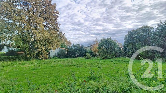 terrain - GUJAN MESTRAS - 33