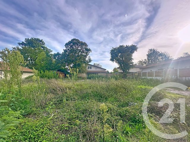 terrain - GUJAN MESTRAS - 33