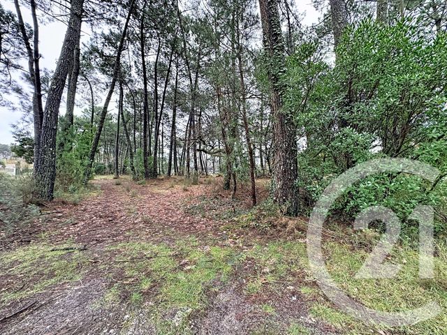 Terrain &agrave; vendre - 3796 m2 - Gujan Mestras - 33 - AQUITAINE