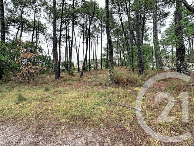 Terrain à vendre GUJAN MESTRAS