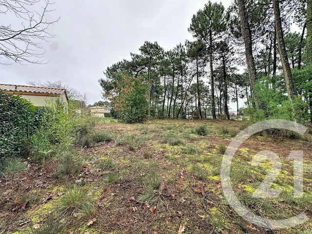 Terrain &agrave; vendre - 3796 m2 - Gujan Mestras - 33 - AQUITAINE