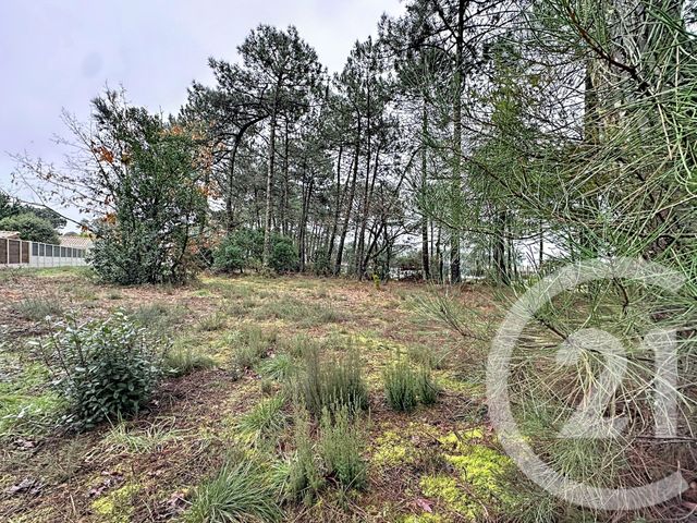 Terrain &agrave; vendre - 3796 m2 - Gujan Mestras - 33 - AQUITAINE