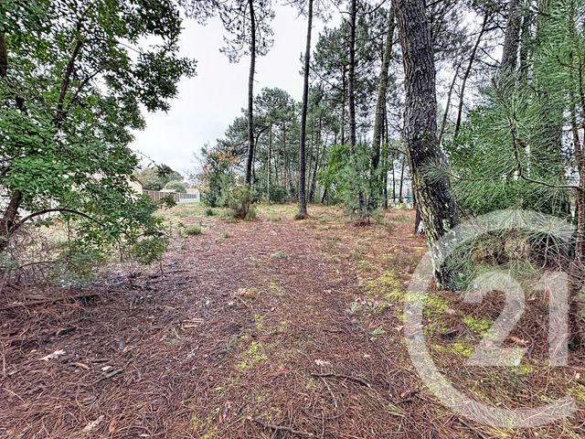 Terrain &agrave; vendre - 3796 m2 - Gujan Mestras - 33 - AQUITAINE