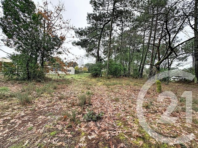 Terrain &agrave; vendre - 3796 m2 - Gujan Mestras - 33 - AQUITAINE