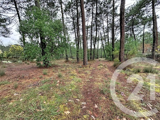 Terrain &agrave; vendre - 3796 m2 - Gujan Mestras - 33 - AQUITAINE