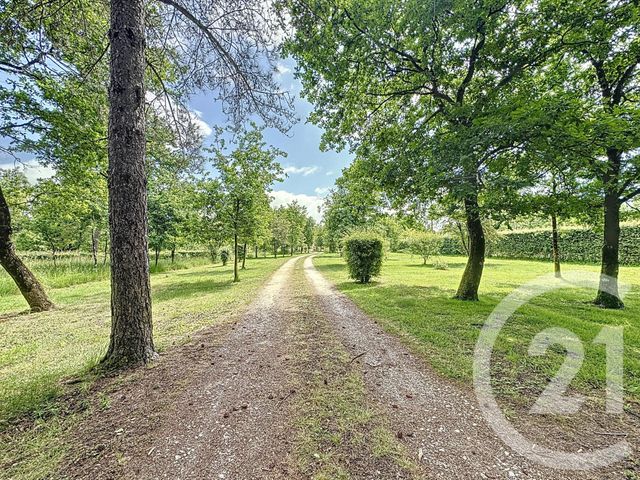 Maison à vendre - 6 pièces - 140,95 m2 - La Ferte St Aubin - 45 - CENTRE