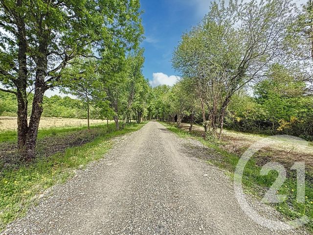 Maison &agrave; vendre - 10 pi&egrave;ces - 372 m2 - Orleans - 45 - CENTRE