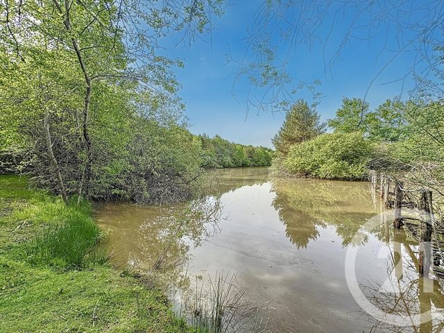 Maison &agrave; vendre - 10 pi&egrave;ces - 372 m2 - Orleans - 45 - CENTRE