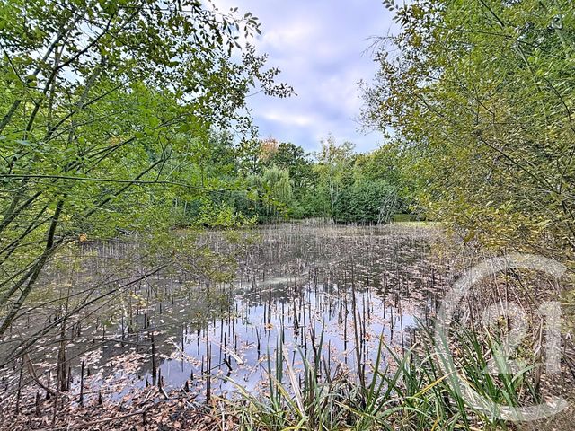 Maison &agrave; vendre - 11 pi&egrave;ces - 370 m2 - Menestreau En Villette - 45 - CENTRE