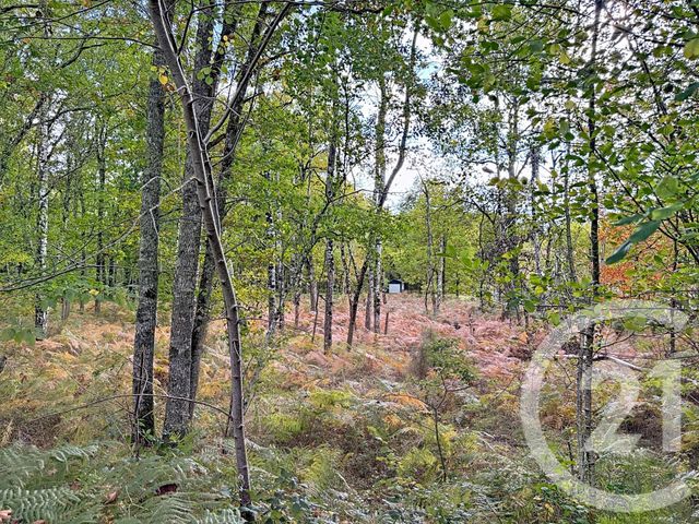 Maison &agrave; vendre - 11 pi&egrave;ces - 370 m2 - Menestreau En Villette - 45 - CENTRE