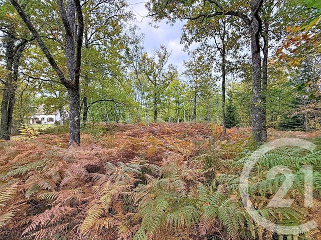 Maison &agrave; vendre - 11 pi&egrave;ces - 370 m2 - Menestreau En Villette - 45 - CENTRE