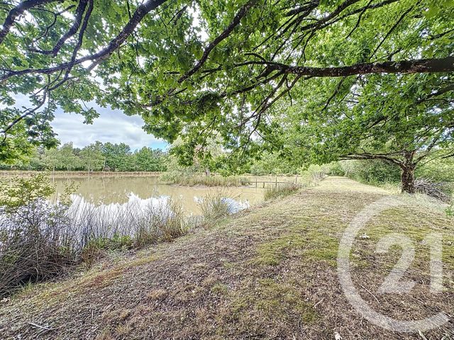 Maison à vendre - 7 pièces - 240 m2 - Ardon - 45 - CENTRE