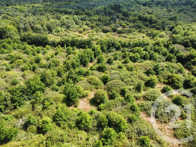 Terrain à vendre - 98964 m2 - La Ferte St Aubin - 45 - CENTRE