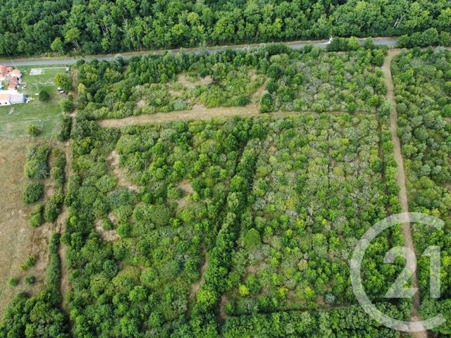 Terrain à vendre - 98964 m2 - La Ferte St Aubin - 45 - CENTRE