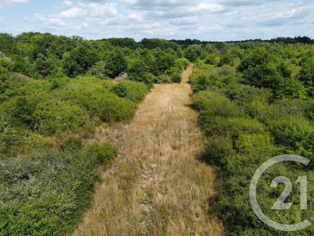 Terrain à vendre - 98964 m2 - La Ferte St Aubin - 45 - CENTRE