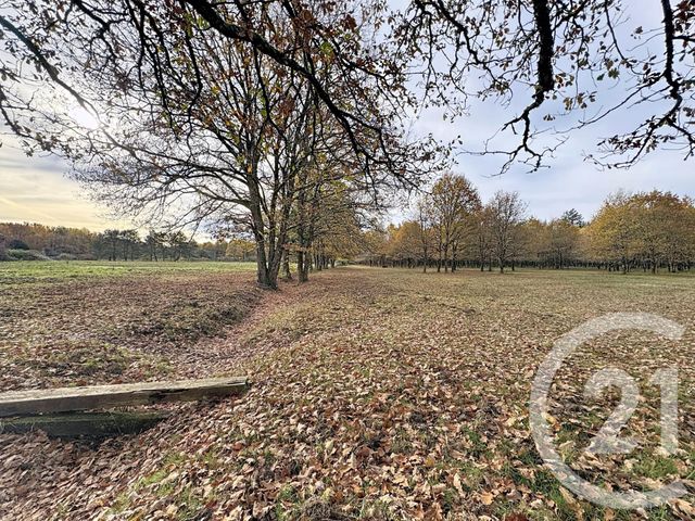 Maison à vendre - 6 pièces - 219,55 m2 - Menestreau En Villette - 45 - CENTRE