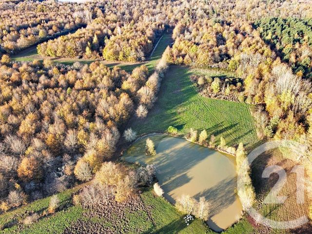 Maison à vendre - 6 pièces - 209,04 m2 - Menestreau En Villette - 45 - CENTRE