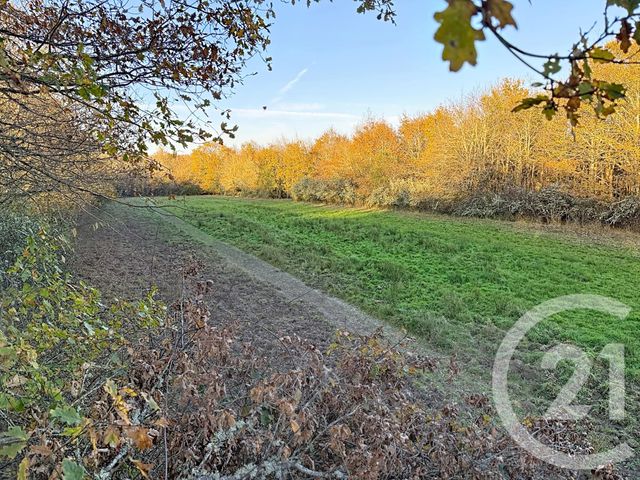 Maison &agrave; vendre - 6 pi&egrave;ces - 209,04 m2 - Olivet - 45 - CENTRE