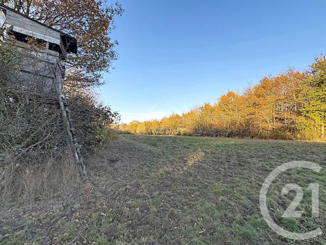 Maison &agrave; vendre - 6 pi&egrave;ces - 209,04 m2 - Olivet - 45 - CENTRE