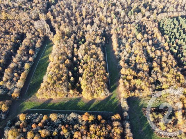 Maison &agrave; vendre - 6 pi&egrave;ces - 209,04 m2 - Olivet - 45 - CENTRE