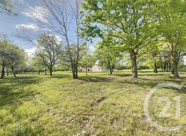 Maison &agrave; vendre - 8 pi&egrave;ces - 140 m2 - Ligny Le Ribault - 45 - CENTRE