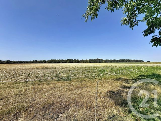 Maison &agrave; vendre - 8 pi&egrave;ces - 230,46 m2 - Marcilly En Villette - 45 - CENTRE