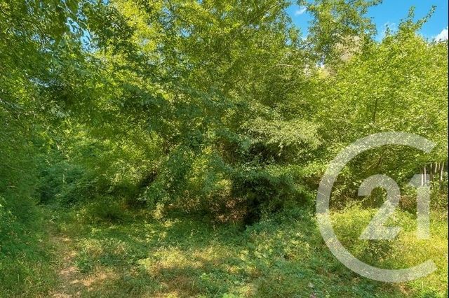 Appartement Duplex à vendre - 4 pièces - 66,46 m2 - Gorbio - 06 - PROVENCE-ALPES-COTE-D-AZUR