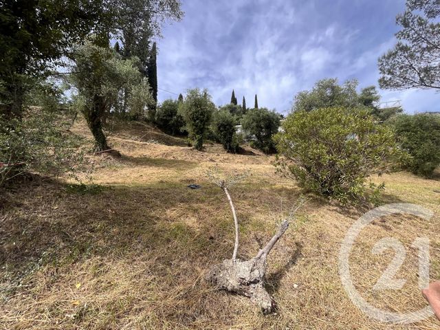 Terrain &agrave; vendre - 1541 m2 - Roquebrune Cap Martin - 06 - PROVENCE-ALPES-COTE-D-AZUR