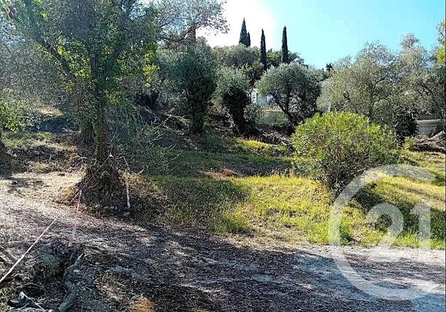 terrain - ROQUEBRUNE CAP MARTIN - 06