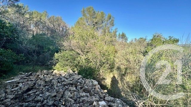 terrain - SOLLIES TOUCAS - 83