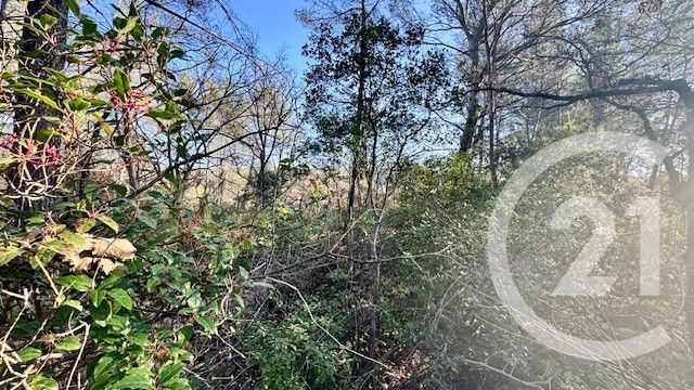 Terrain &agrave; vendre - 1225 m2 - Sollies Toucas - 83 - PROVENCE-ALPES-COTE-D-AZUR