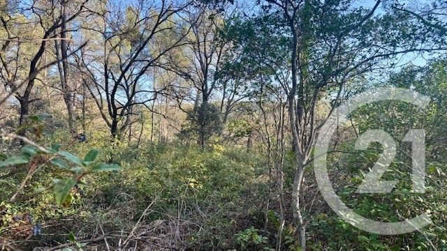 Terrain &agrave; vendre - 1225 m2 - Sollies Toucas - 83 - PROVENCE-ALPES-COTE-D-AZUR