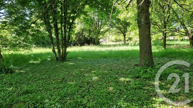 Maison &agrave; vendre - 9 pi&egrave;ces - 195,67 m2 - Bantanges - 71 - BOURGOGNE