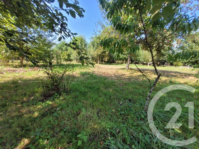 Maison à vendre - 13 pièces - 431 m2 - Montpont En Bresse - 71 - BOURGOGNE