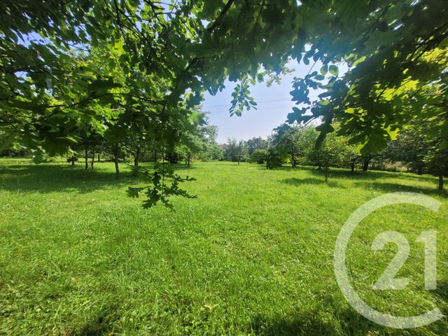 Maison &agrave; vendre - 13 pi&egrave;ces - 431 m2 - Montpont En Bresse - 71 - BOURGOGNE