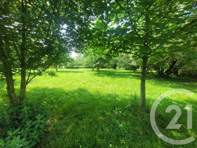 Maison &agrave; vendre - 13 pi&egrave;ces - 431 m2 - Montpont En Bresse - 71 - BOURGOGNE