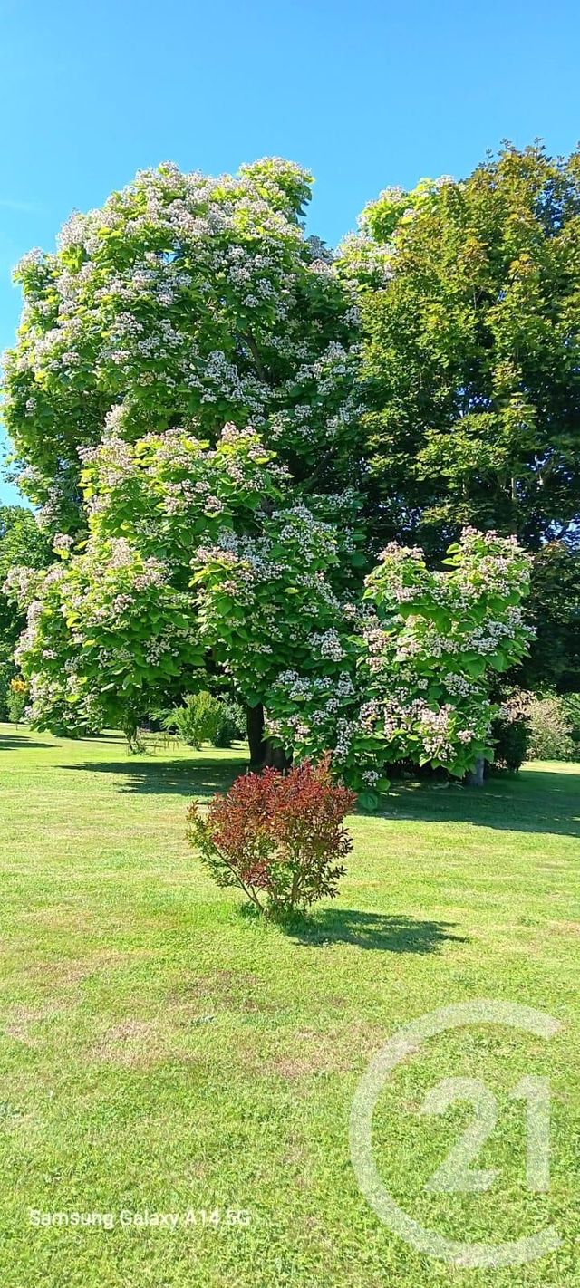 Maison &agrave; vendre - 7 pi&egrave;ces - 175 m2 - Jouvencon - 71 - BOURGOGNE