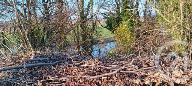 Maison &agrave; vendre - 7 pi&egrave;ces - 175 m2 - Jouvencon - 71 - BOURGOGNE