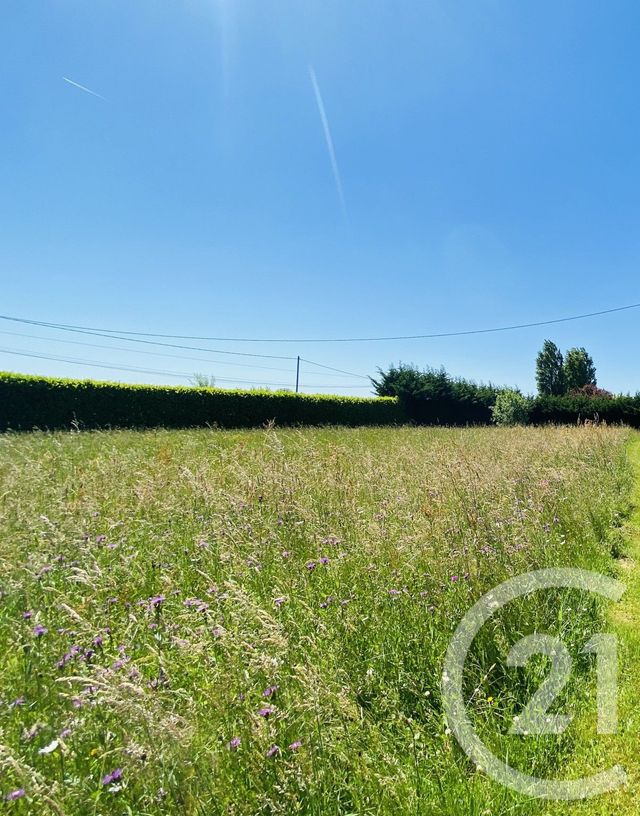 Terrain à vendre BRANGES