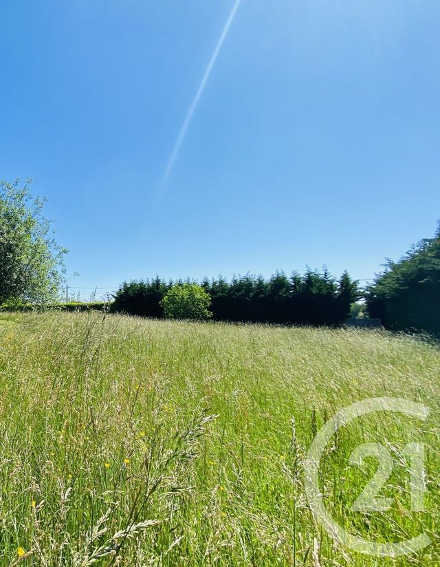 Terrain &agrave; vendre - 4010 m2 - Branges - 71 - BOURGOGNE