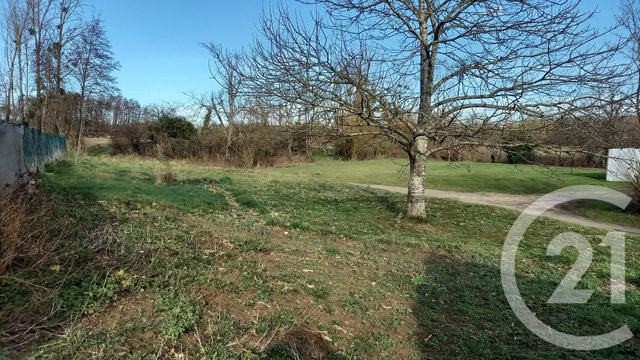 terrain - STE CROIX - 71